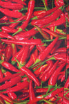 Chili Pepper Two-Piece Swim - POPRAGEOUS
 - 5