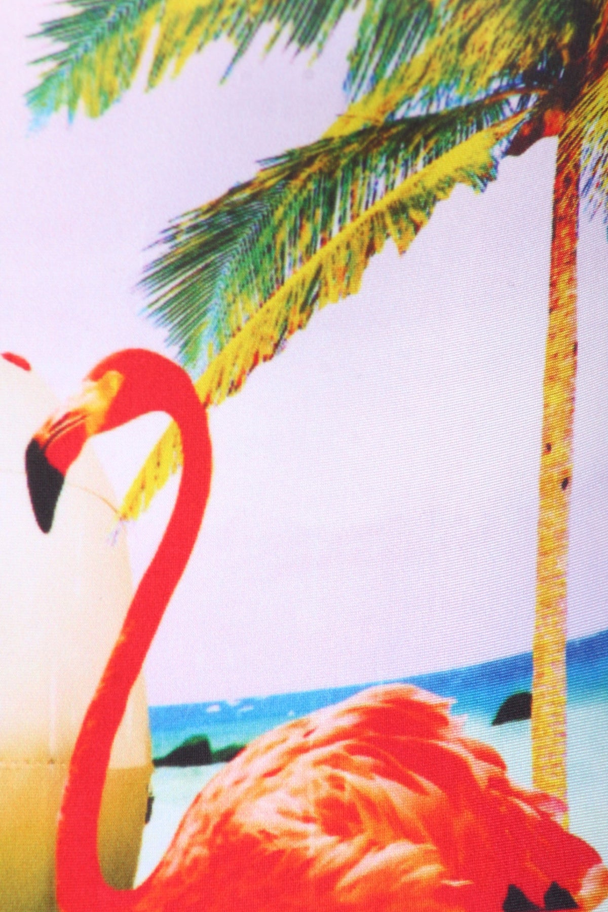 Flamingo Airstream One-Piece Swim - POPRAGEOUS
 - 5