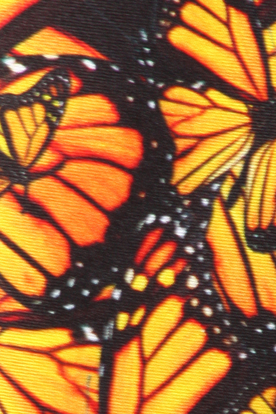 Attack of the Monarchs Two-Piece Swim - POPRAGEOUS
 - 5