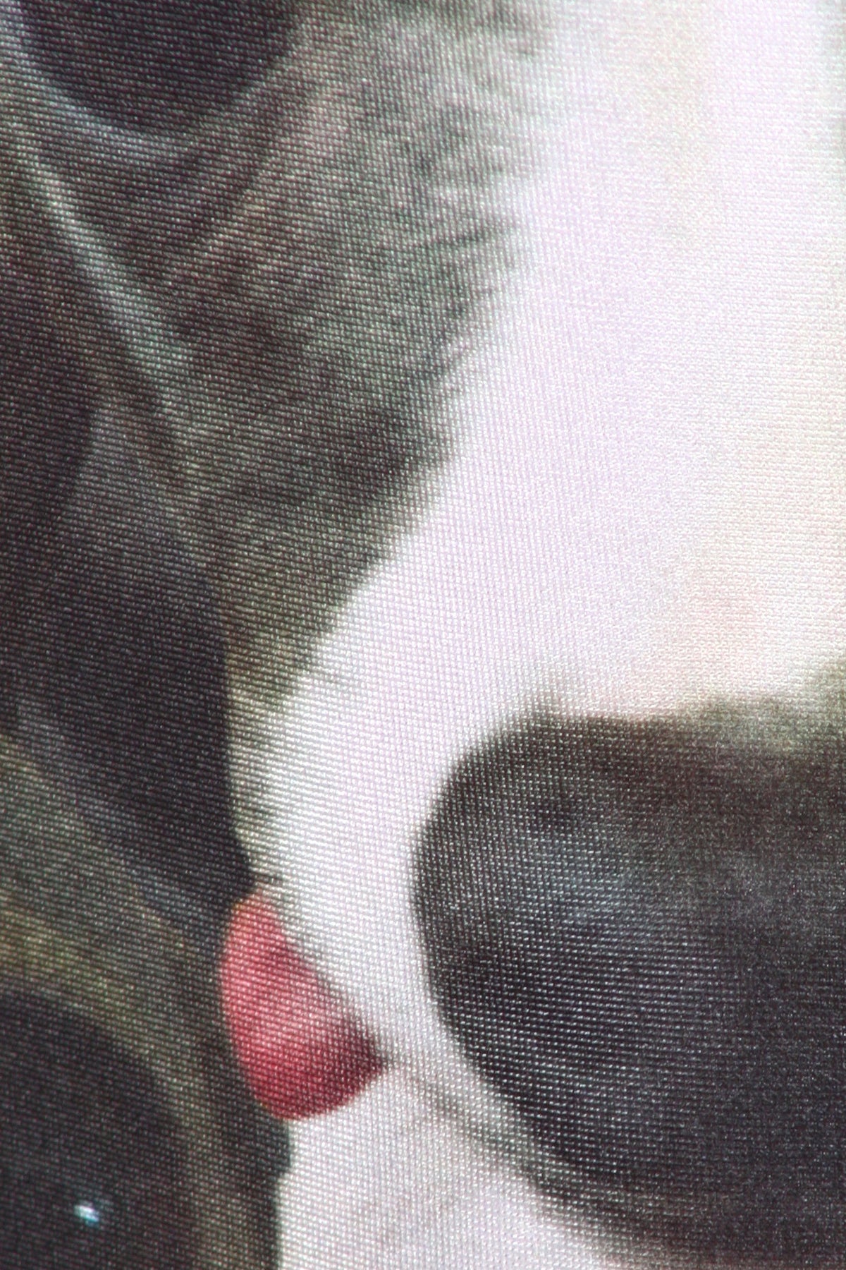 Italian Greyhound Iggy Leggings - POPRAGEOUS
 - 5