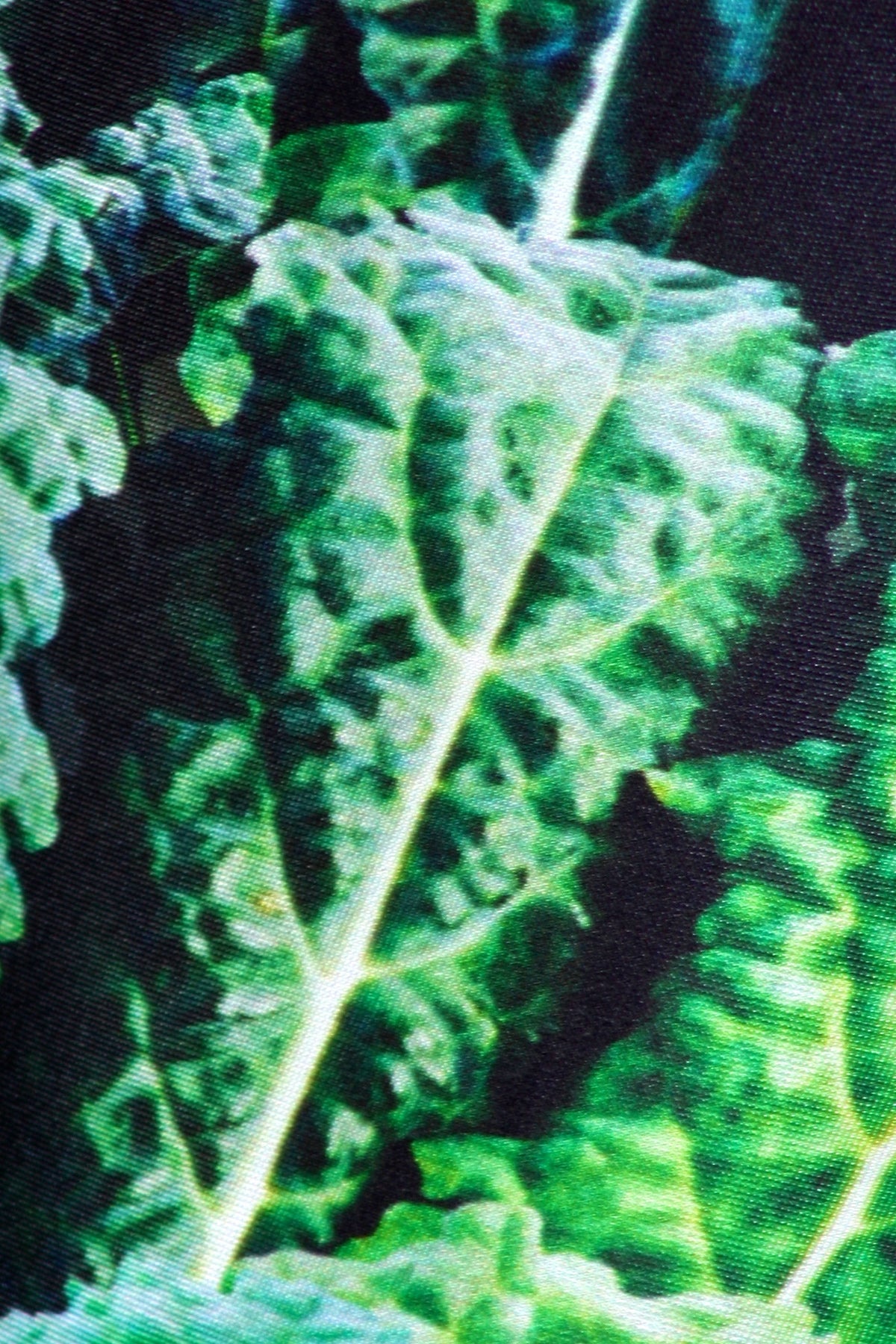 Kale Leggings - POPRAGEOUS
 - 4