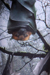 Bats Leggings - POPRAGEOUS
 - 5
