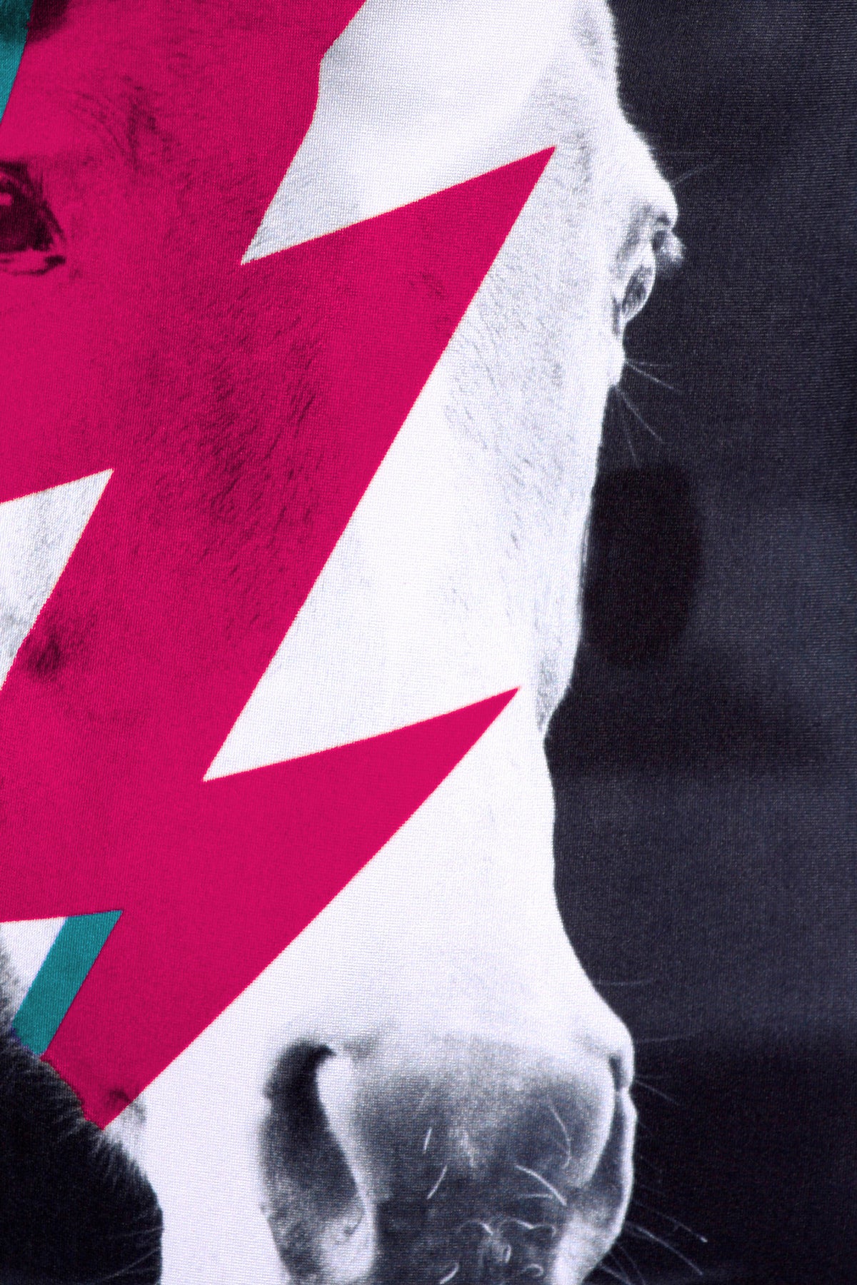 Unicorn Bolt One-Piece Swim - POPRAGEOUS
 - 5