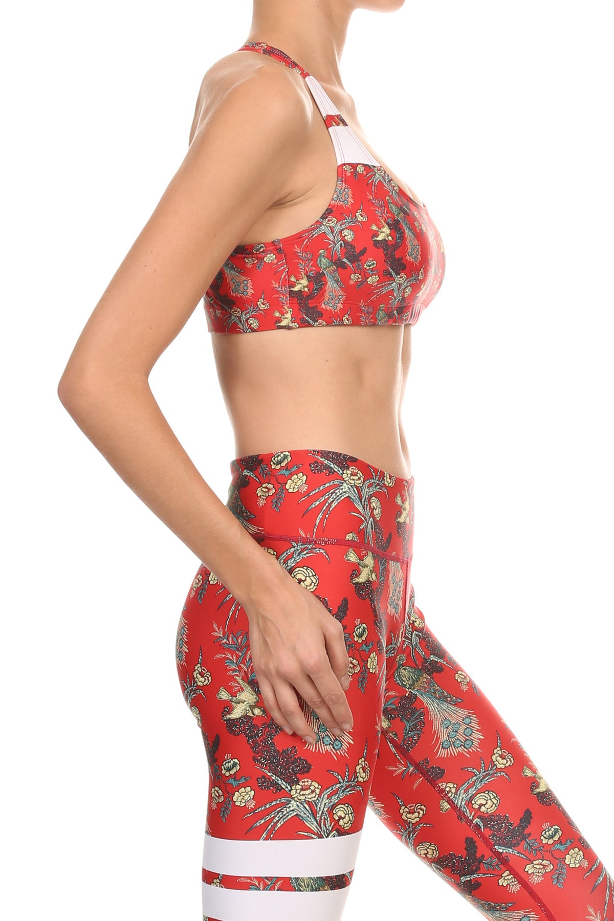 Royal Peafowl Aurora Bra - POPRAGEOUS
 - 3