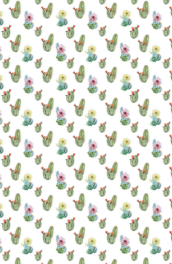 Prints